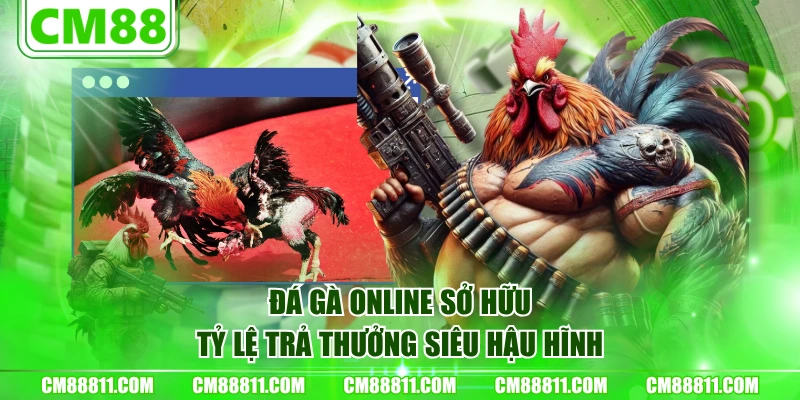 Đá gà online sở hữu tỷ lệ trả thưởng siêu hậu hĩnh
